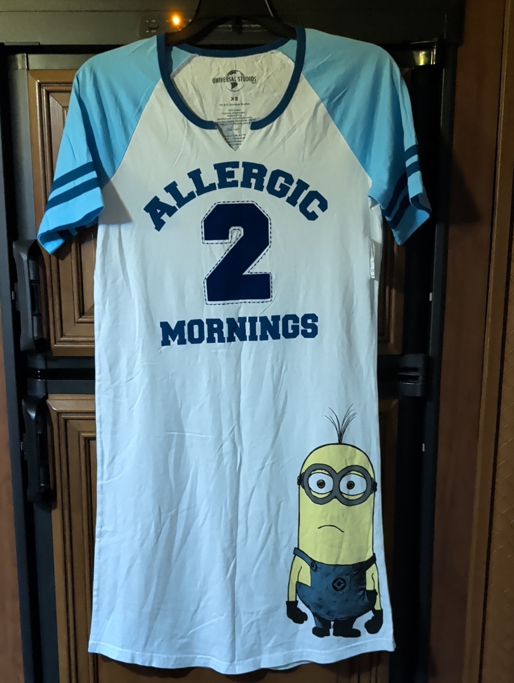 Universal Studios Minions "Allergic 2 Mornings" Blue & White Nightshirt
